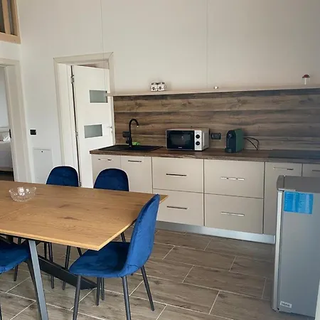 Cabanele Olena * Borşa