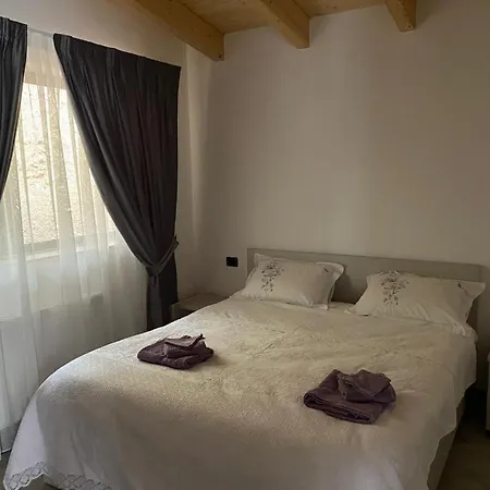 Holiday home Cabanele Olena Borsa (Maramures)